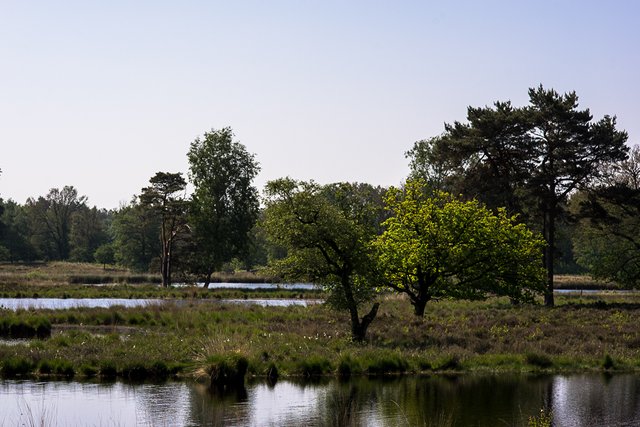 20-05-2018-landscape-05019.jpg