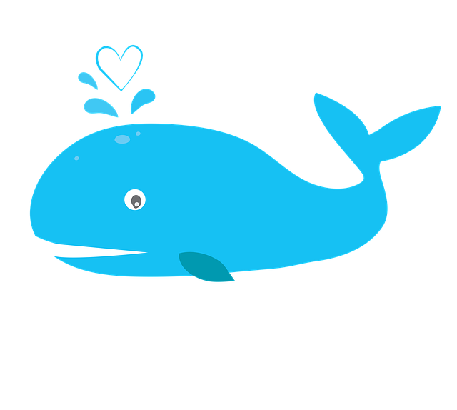 whale-2221304_640.png