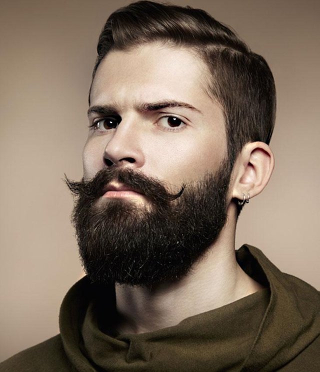 176120-731x850-Full-Beard-and-Mustache.jpg