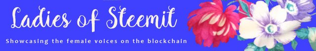 Ladies of Steemit Blue Banner.jpeg