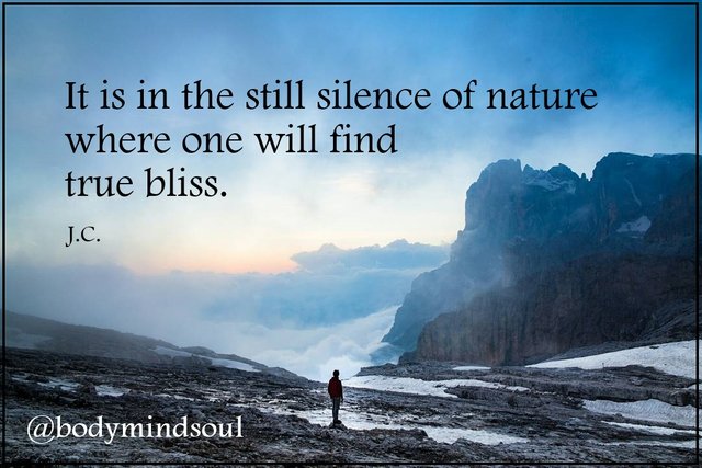 quote silence nature try 2.jpg