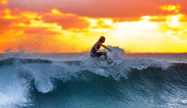 surfer-wave-sunset-the-indian-ocean-390051.jpg