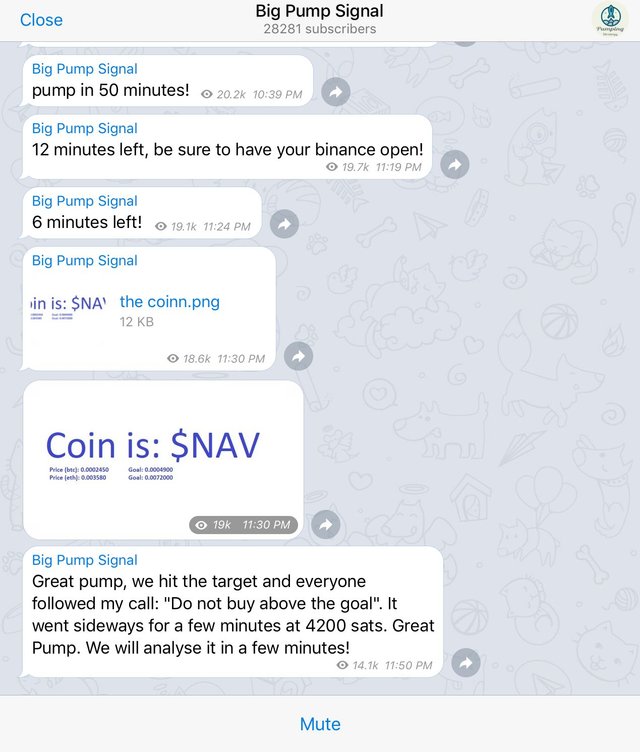 Big Pump Signal Telegram Group.PNG