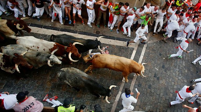 pamplona bulls.jpg