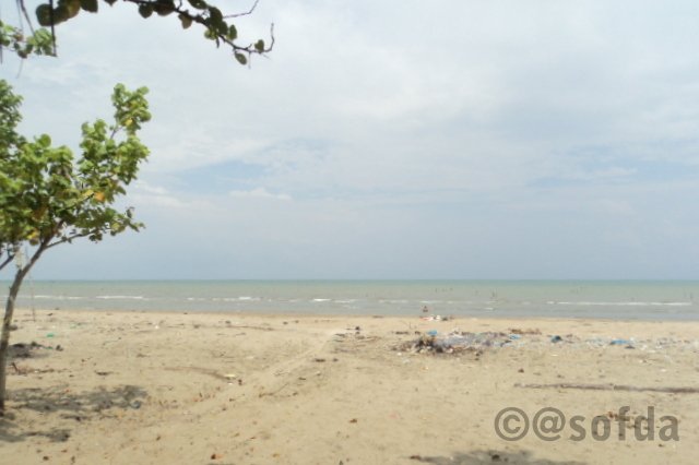 Dilarang Mengunjungi Pantai Sebuah Catatan Dari Kuala Idi