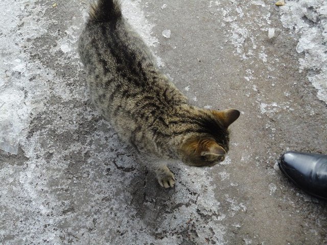 DSC09456.JPG