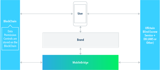 momentum mobilebridge.png