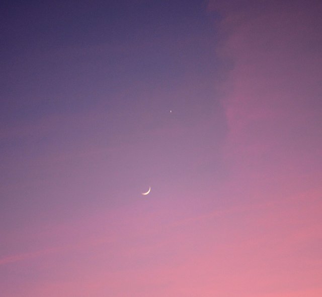 moon and star.jpg