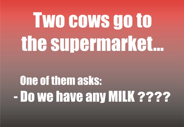 TWO COWS.jpg