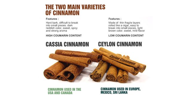 2015-03-13-what-is-the-difference-between-ceylon-and-cassia-cinnamon-inlne.jpg