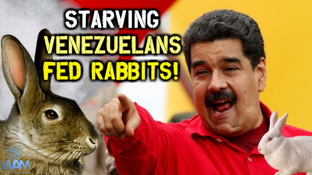 starving venezuelans fed rabbits thumbnail.png
