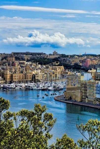 Malta6.jpg