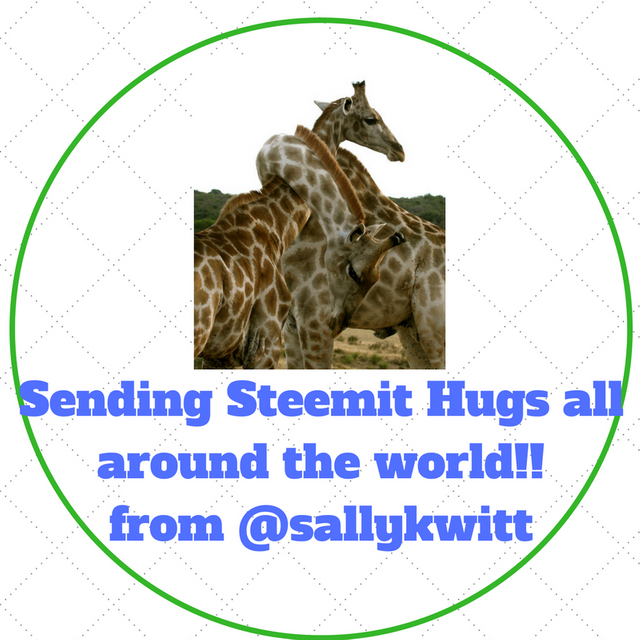 Copy of Steemit Hugs all around the world--from @sallykwitt.png