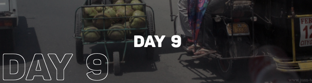 day-9.png