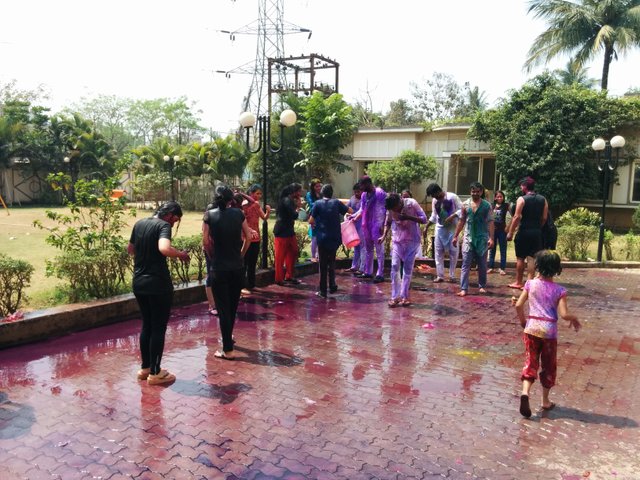 Holi 14.jpg