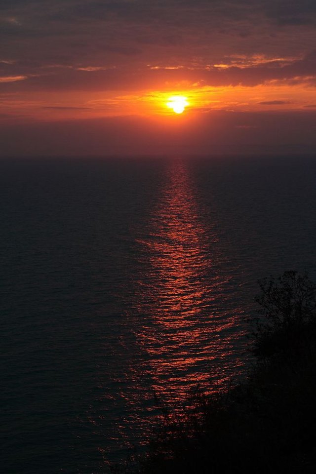 IMG_8978.JPG