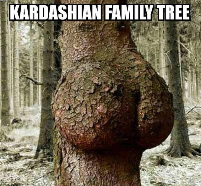 6a0c9491128c30761dcaf23b4158d533--kardashian-family-tree-houses.jpg