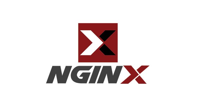 nginx5.jpg