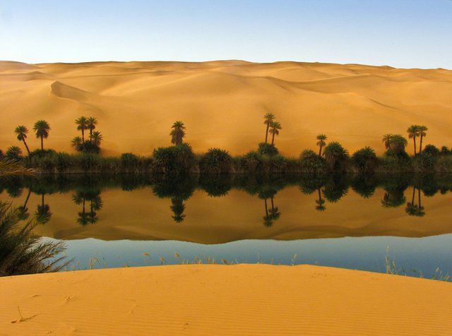 oasis.jpg