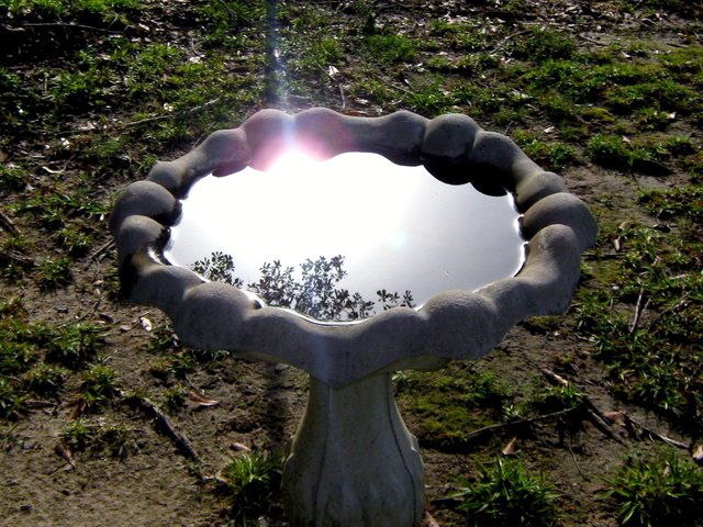 11.JPG