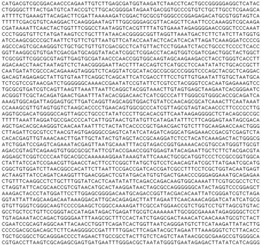 Part_of_DNA_sequence_prototypification_of_complete_genome_of_virus_5418_nucleotides-.jpg