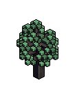 whitepine_tree2.iso.png