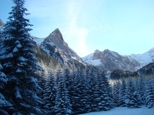 DSC06785.JPG