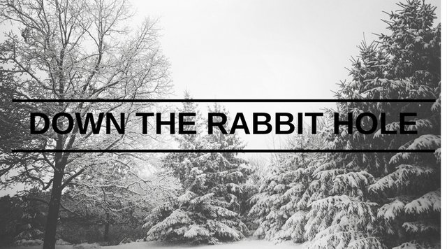 Down the rabbit hole.jpg