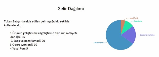 token gelir dağılımı.jpg