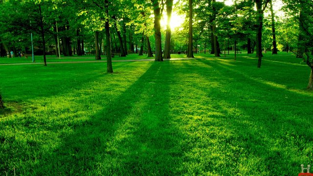 awesome-fully-natural-green-place-beautiful-hd-wallpapers1.jpg