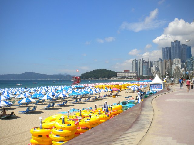 busan-75137_1920.jpg