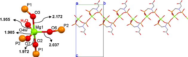 Figure-8-Coordination-environment-of-trigonal-bipyramidal-Mg-in-the-structure-of-Mg.png