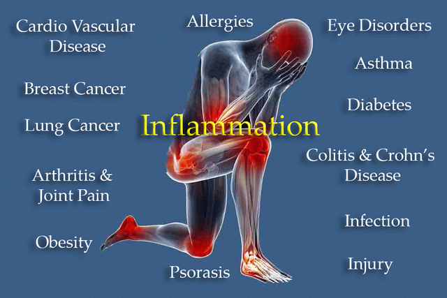 Causes-of-Inflammation.png
