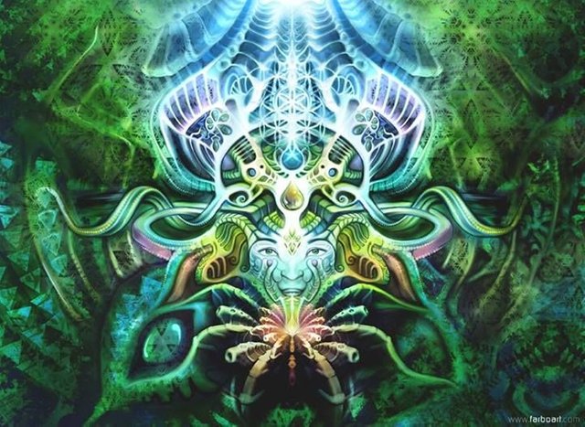 ayahuasca-vision.jpg