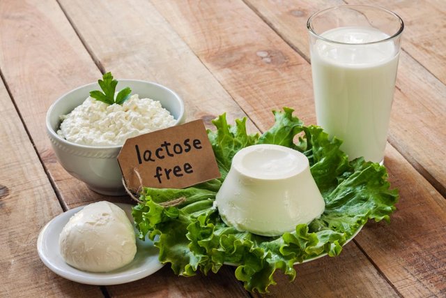 lactose-free-products.jpg
