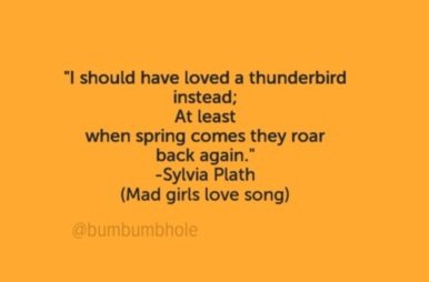i-should-have-loved-a-thunderbird-instead-at-least-when-spring-comes-they-roar-back-again-sylvia-pla-1419828.jpg