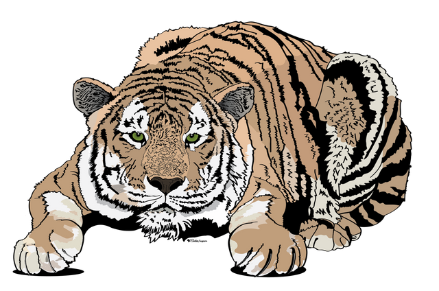 crouchingTiger_CrouchingTiger 3.png