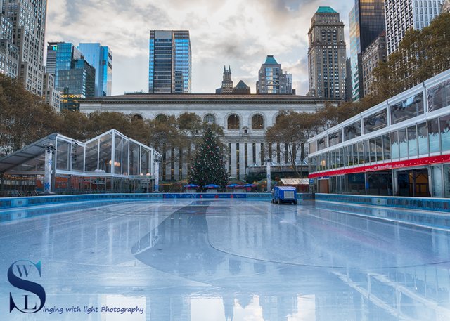 Bryant Park tree and rink.jpg