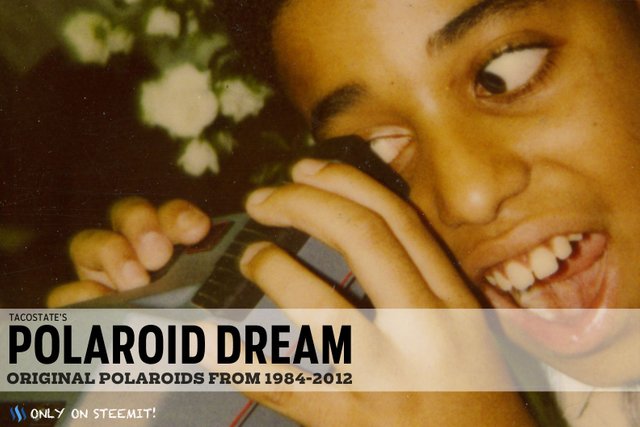 PolaDREAMHeader.jpg