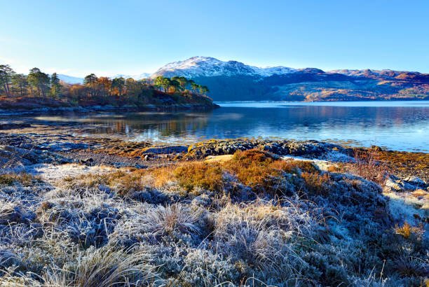 winter-view-on-a-frosty-sunny-morning-along-the-banks-of-loch-sunart-picture-id726792087.jpg