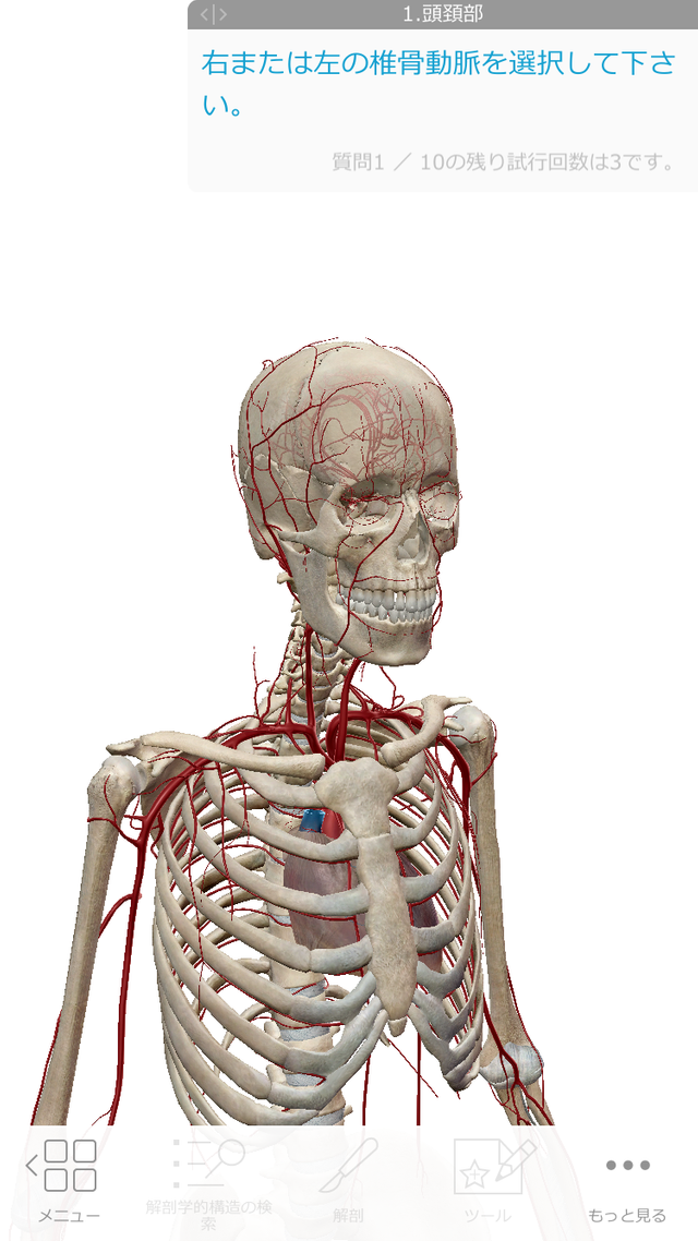 3d人体解剖図アプリを買ってみた I Purchased The Application Of 3d Human Anatomy Steemit