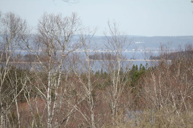 IMG_6804.JPG