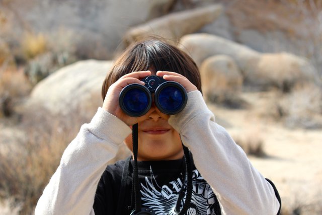 binoculars-100590.jpg