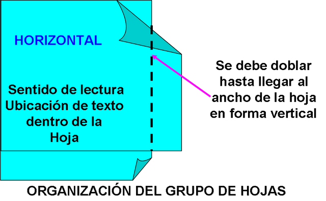 Organizacion de las Hojas.png