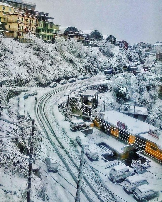 shimla.jpg