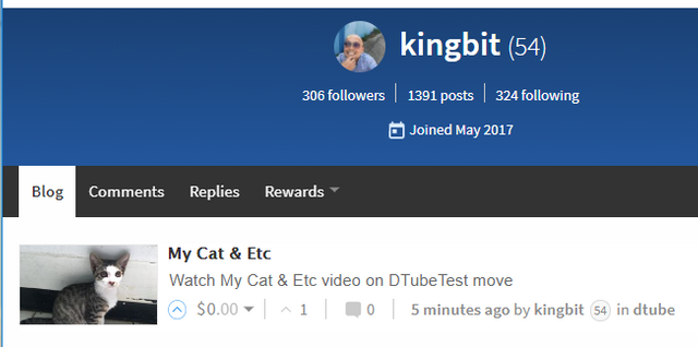 15.PNG