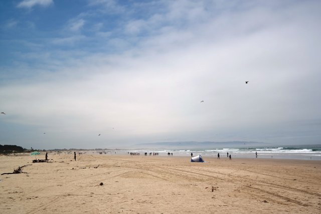 SantaBarbara_beach.JPG