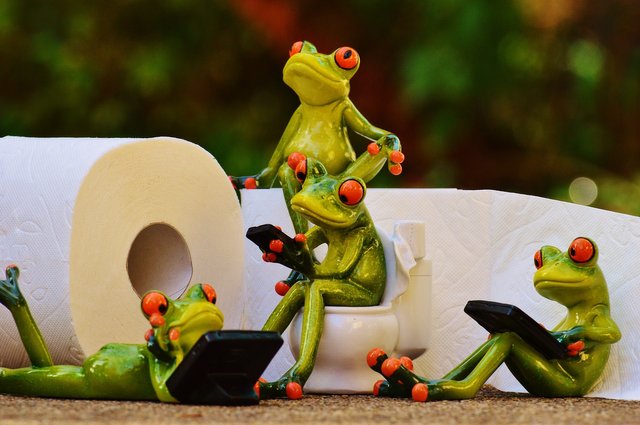 lc frogs toiletpaper.jpg