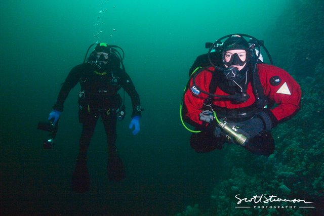 Diver-11.jpg