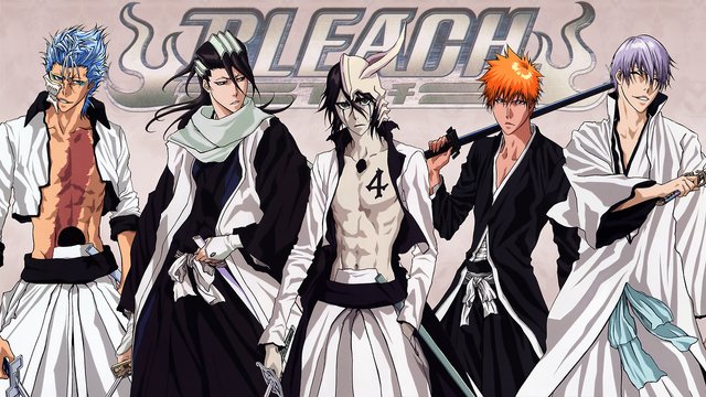 Bleach 5.jpg